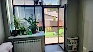 Дверная москитная сетка антикошка